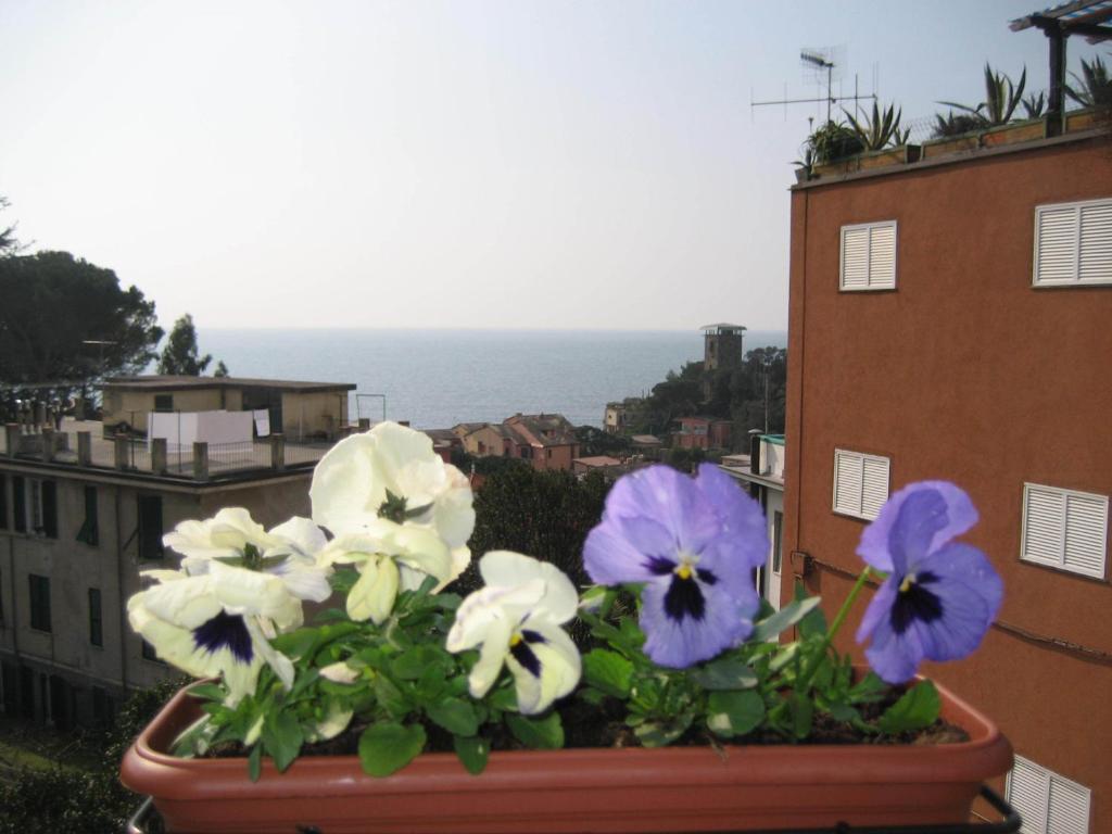 Gasthof Cristina